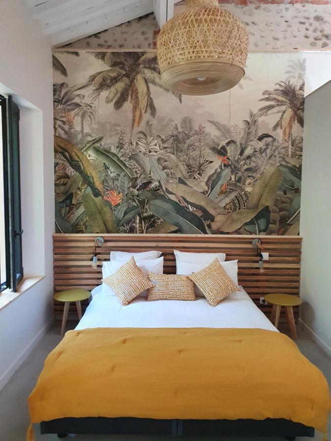 Superbe Batisse De Caractere, Coeur De Ville 佩皮尼昂 外观 照片