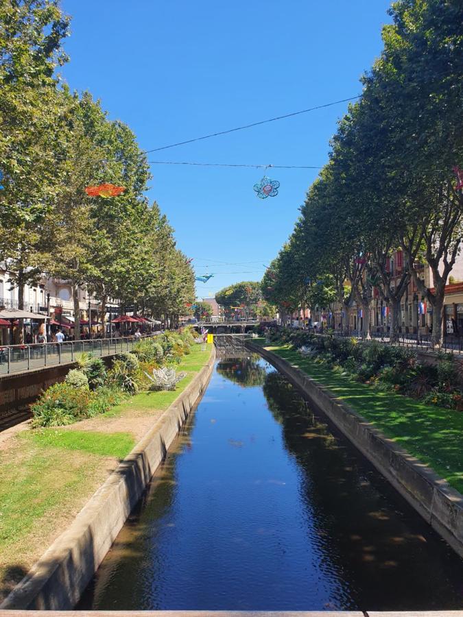 Superbe Batisse De Caractere, Coeur De Ville 佩皮尼昂 外观 照片